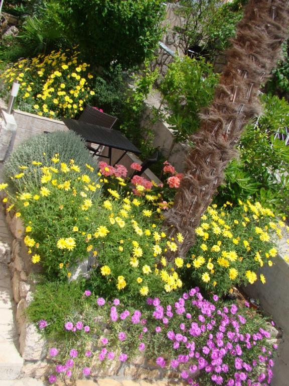 Apartments Melita Crikvenica Oda fotoğraf